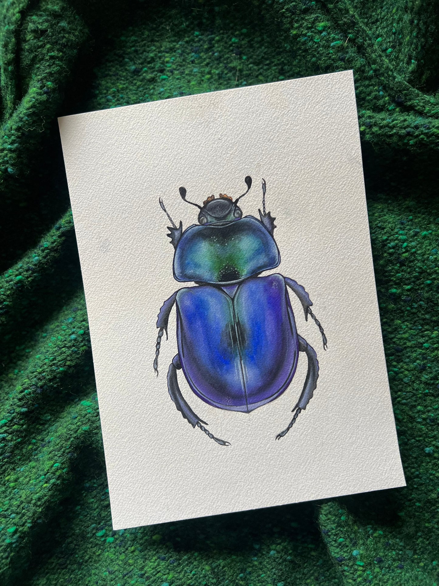 Spring Dor Beetle