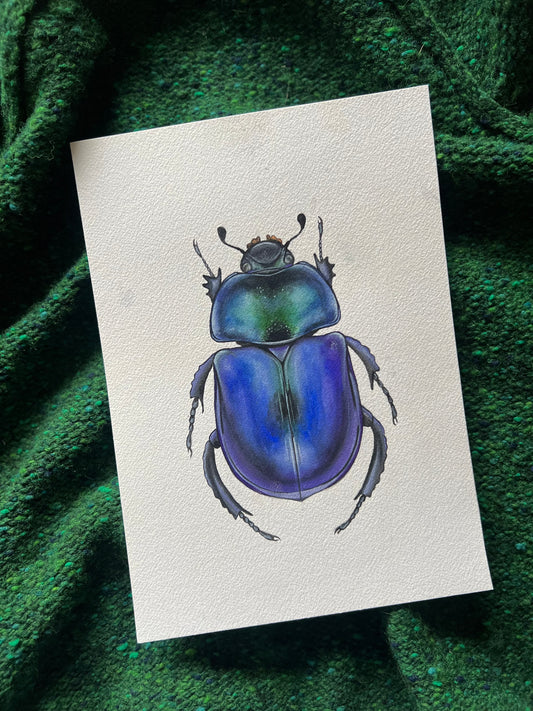 Spring Dor Beetle