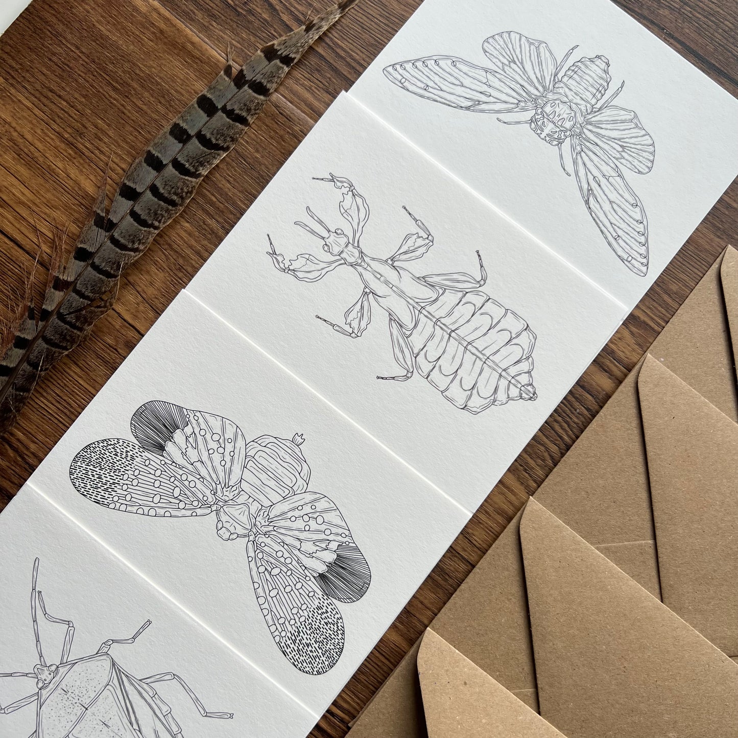 Insects Colouring in Card Set