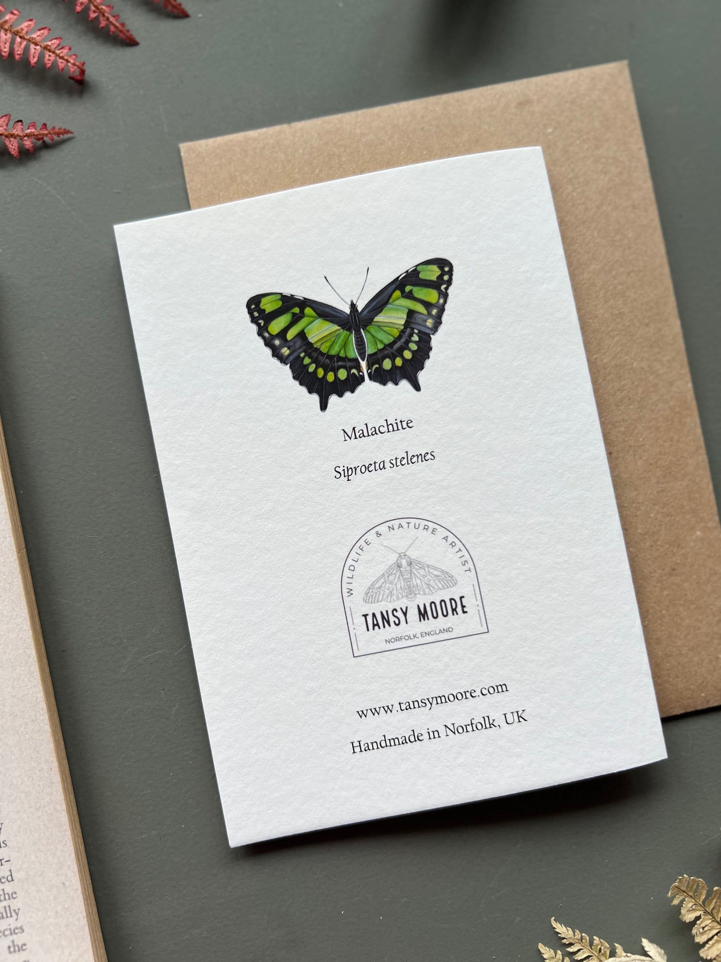 Malachite Butterfly Card