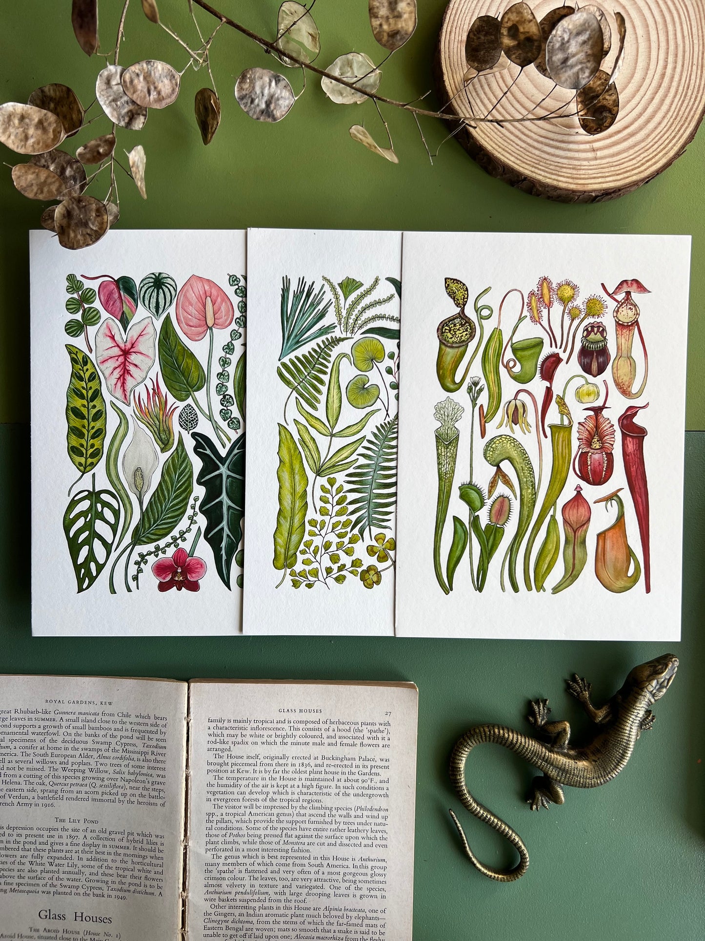 Plants Print Set
