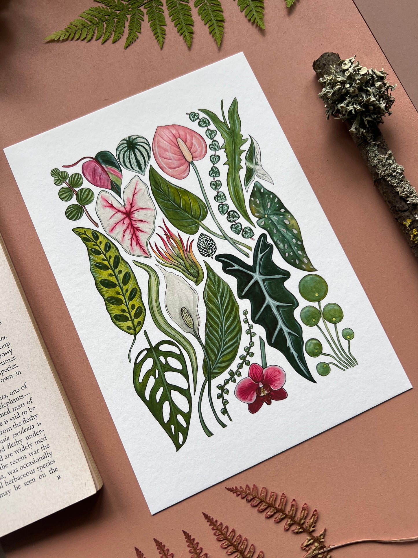 House Plants Print