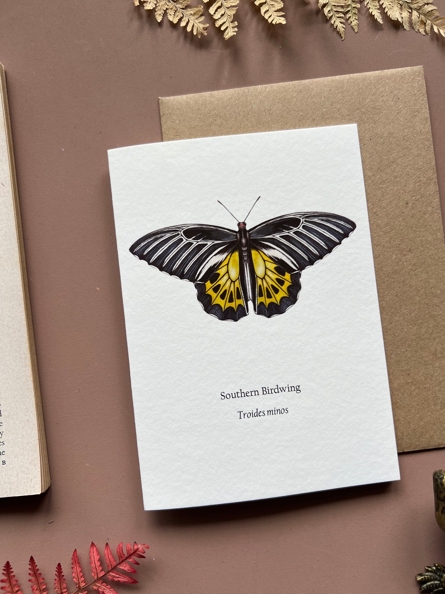 Southern Birdwing Card