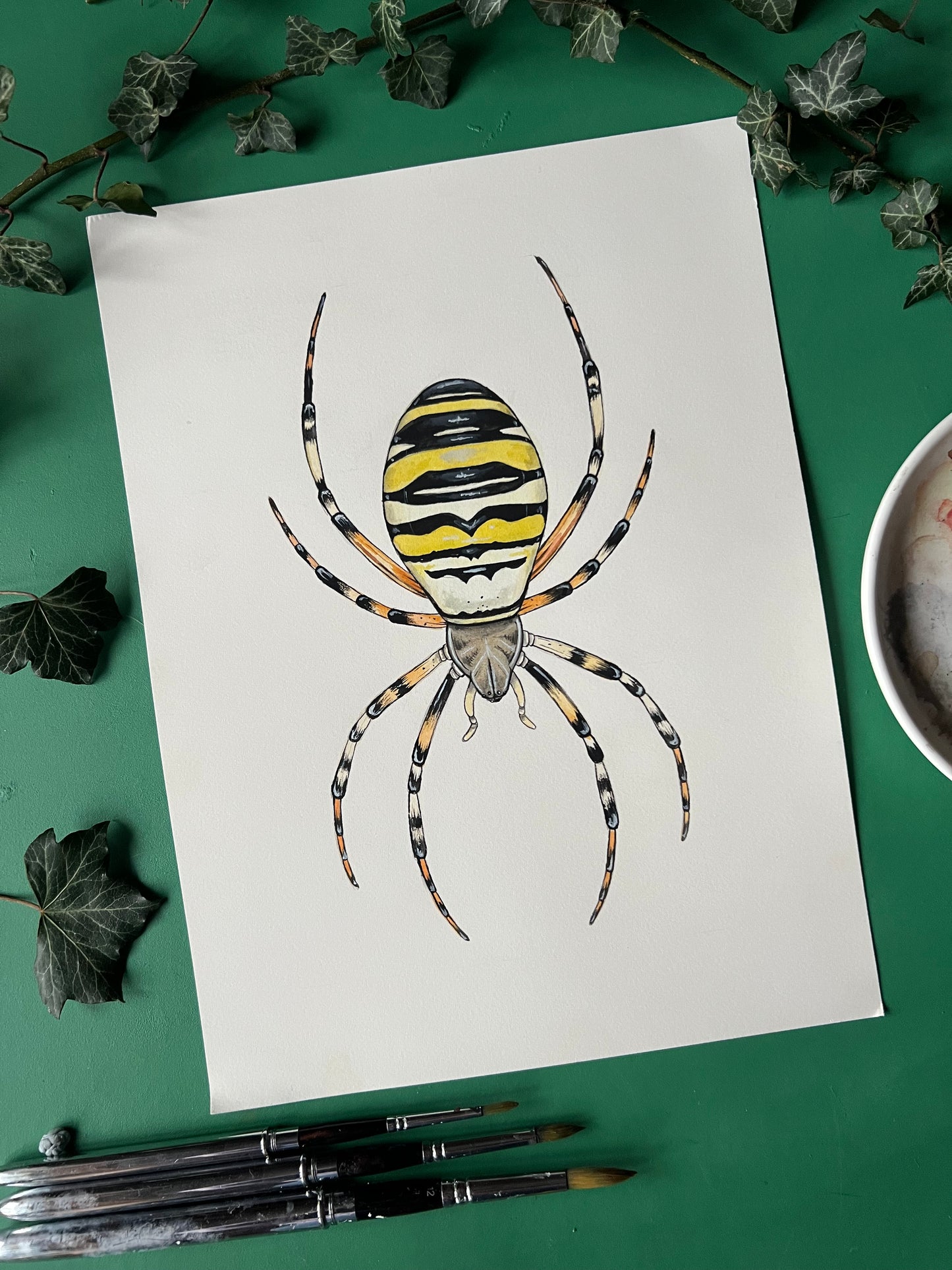 Wasp Spider