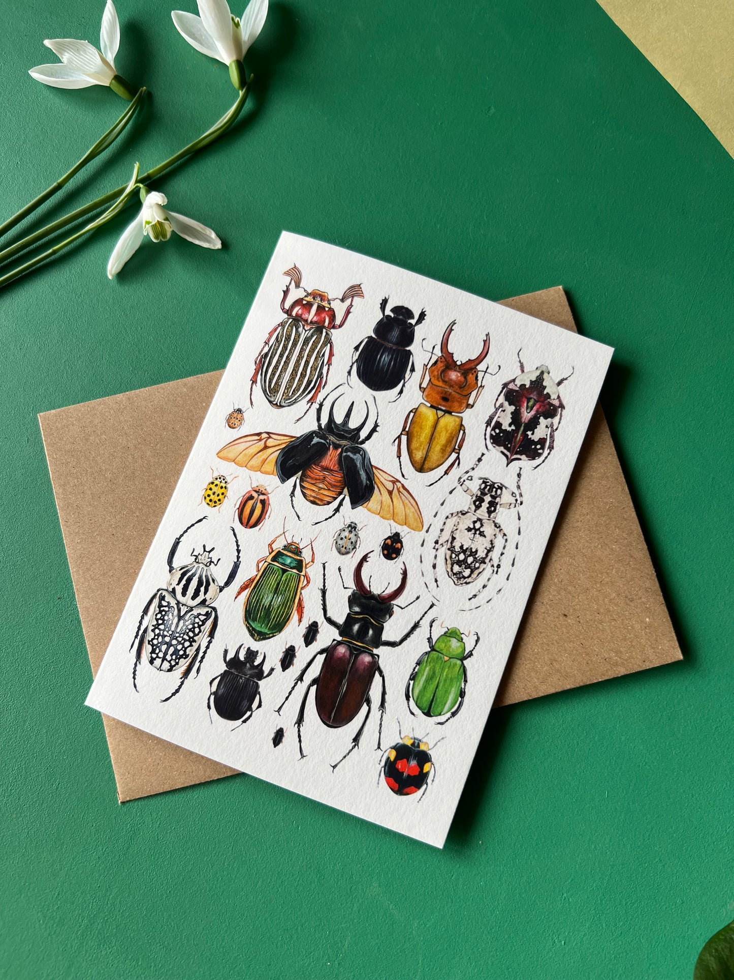 Beetles Card