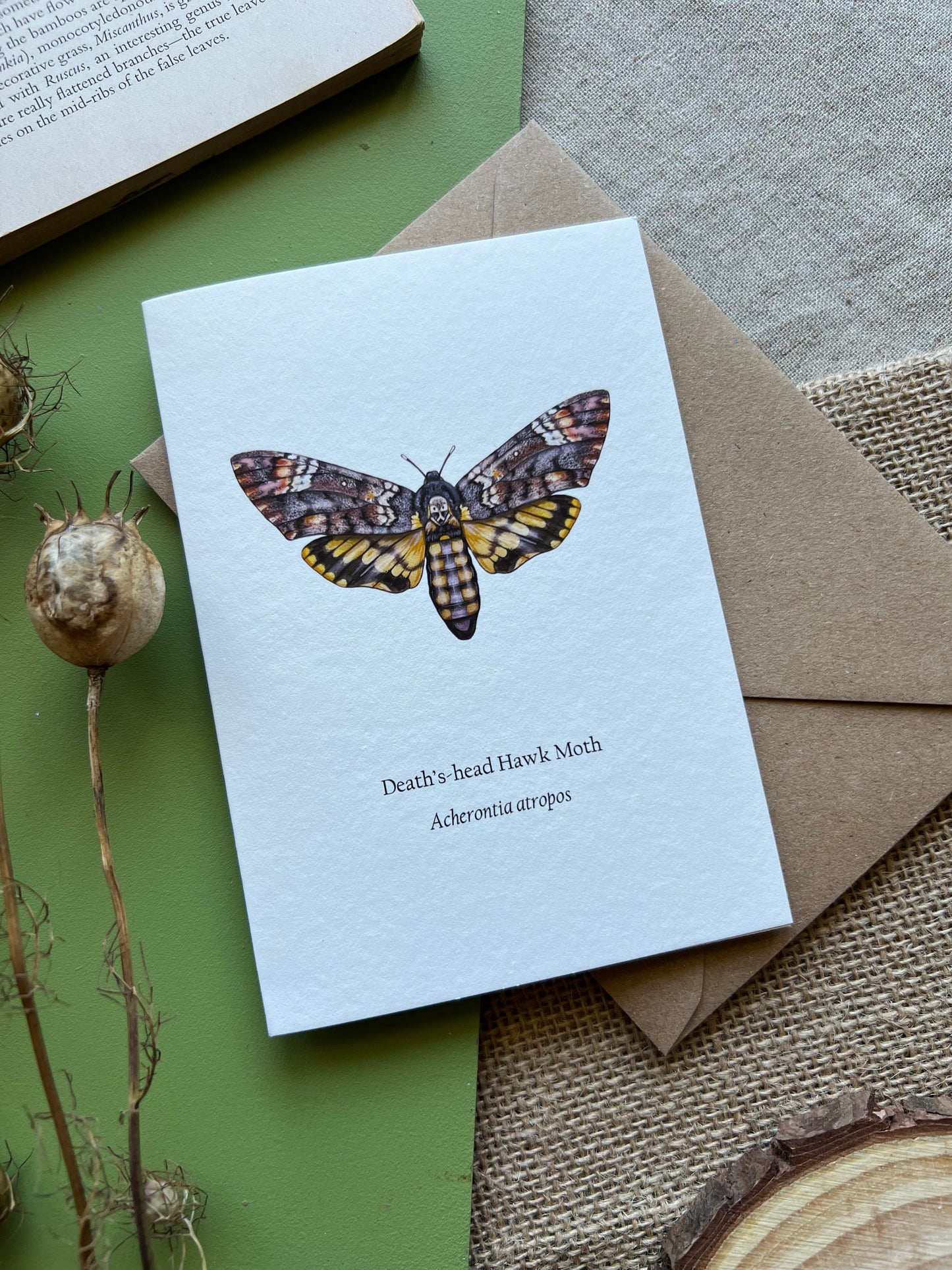 Deaths-head Hawk Moth Card