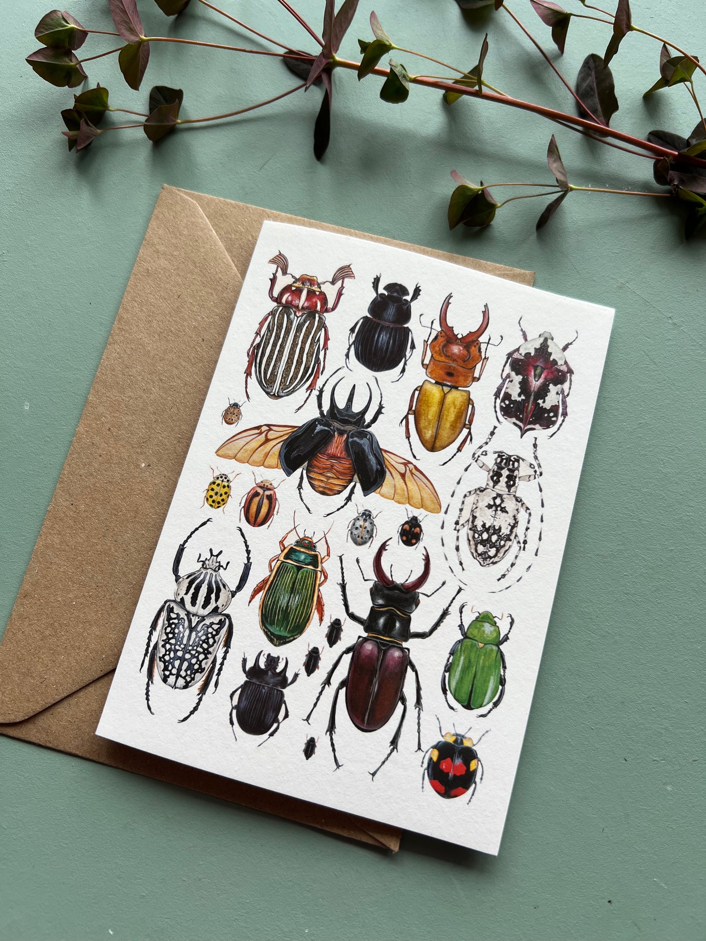 Beetles Card