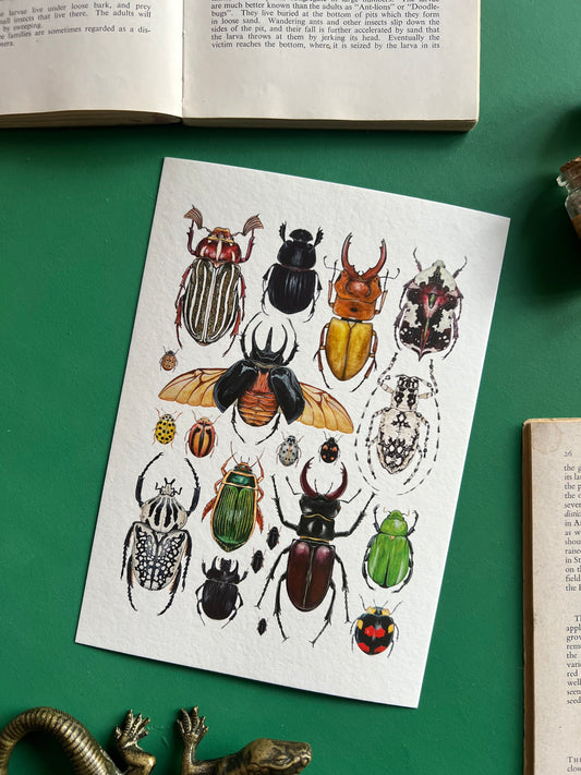 Beetles Print