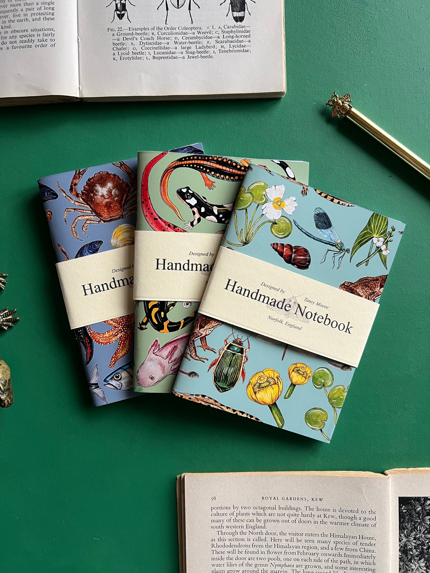 Wildlife Pocket Notebook Set