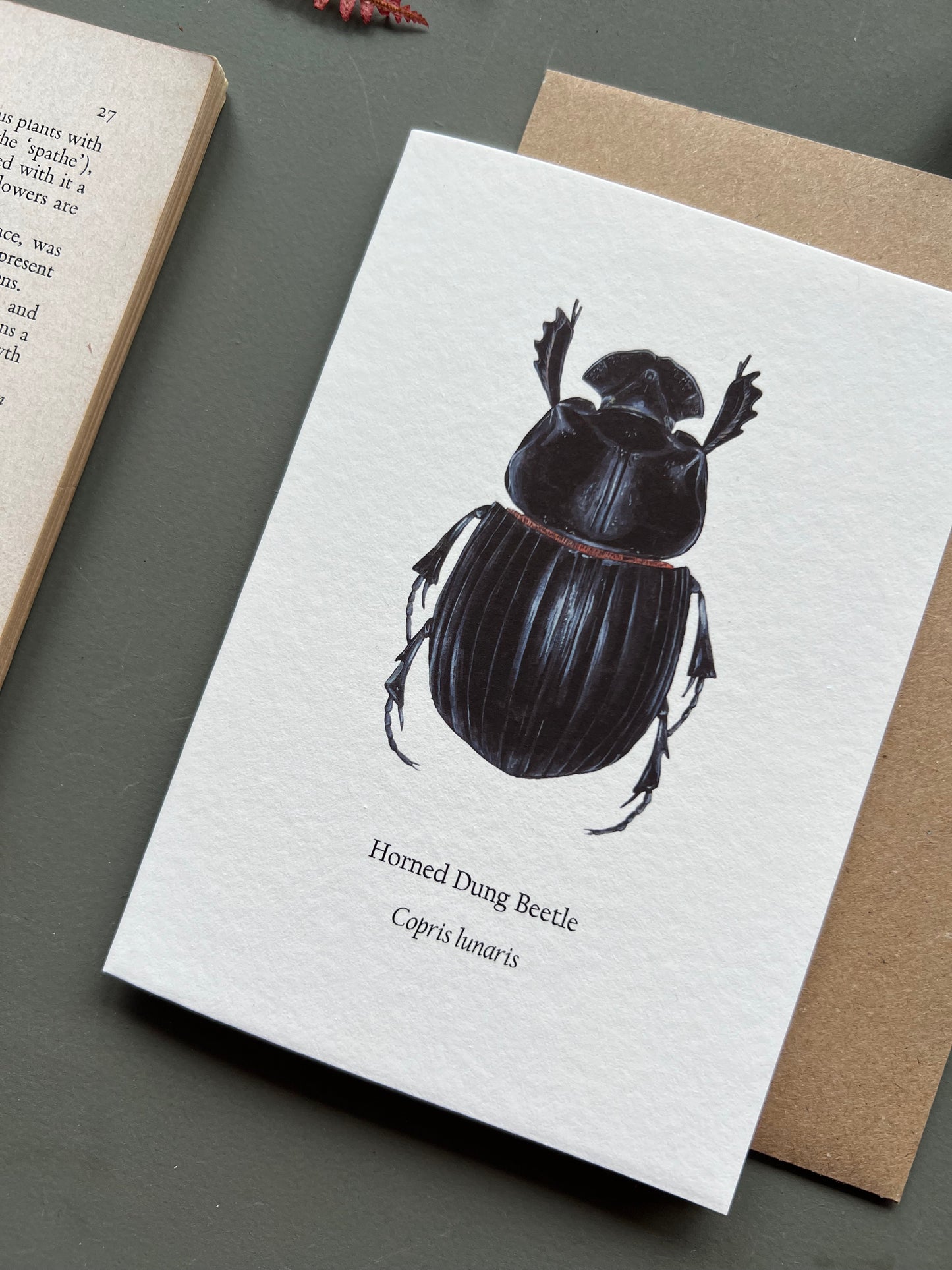 Horned Dung Beetle Card