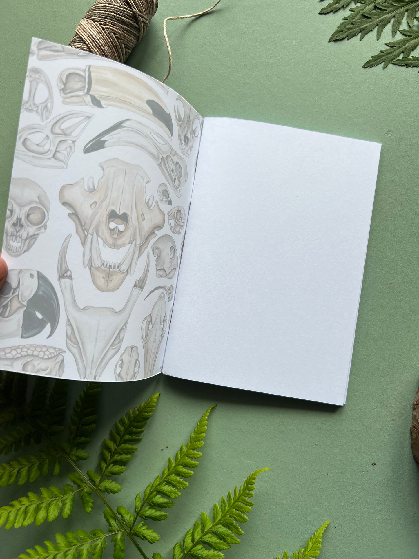 Skulls Pocket Notebook