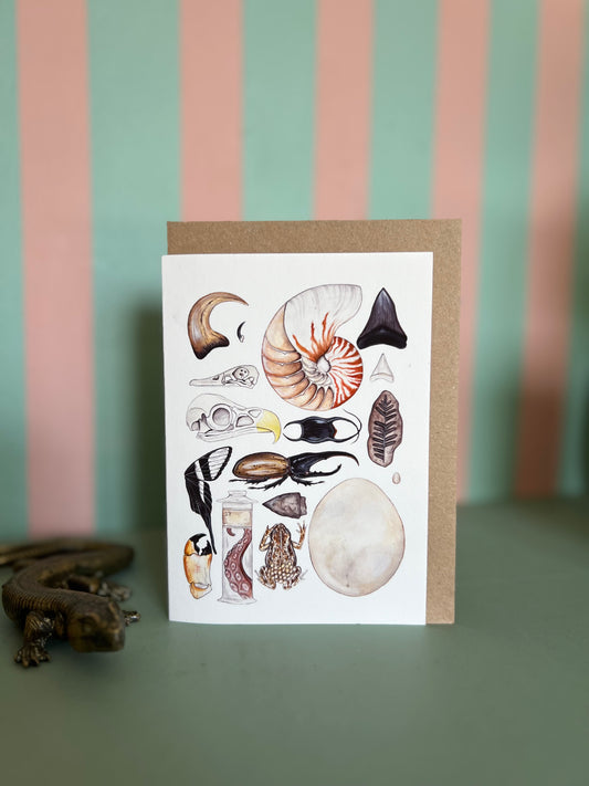 Natural Curiosities Card
