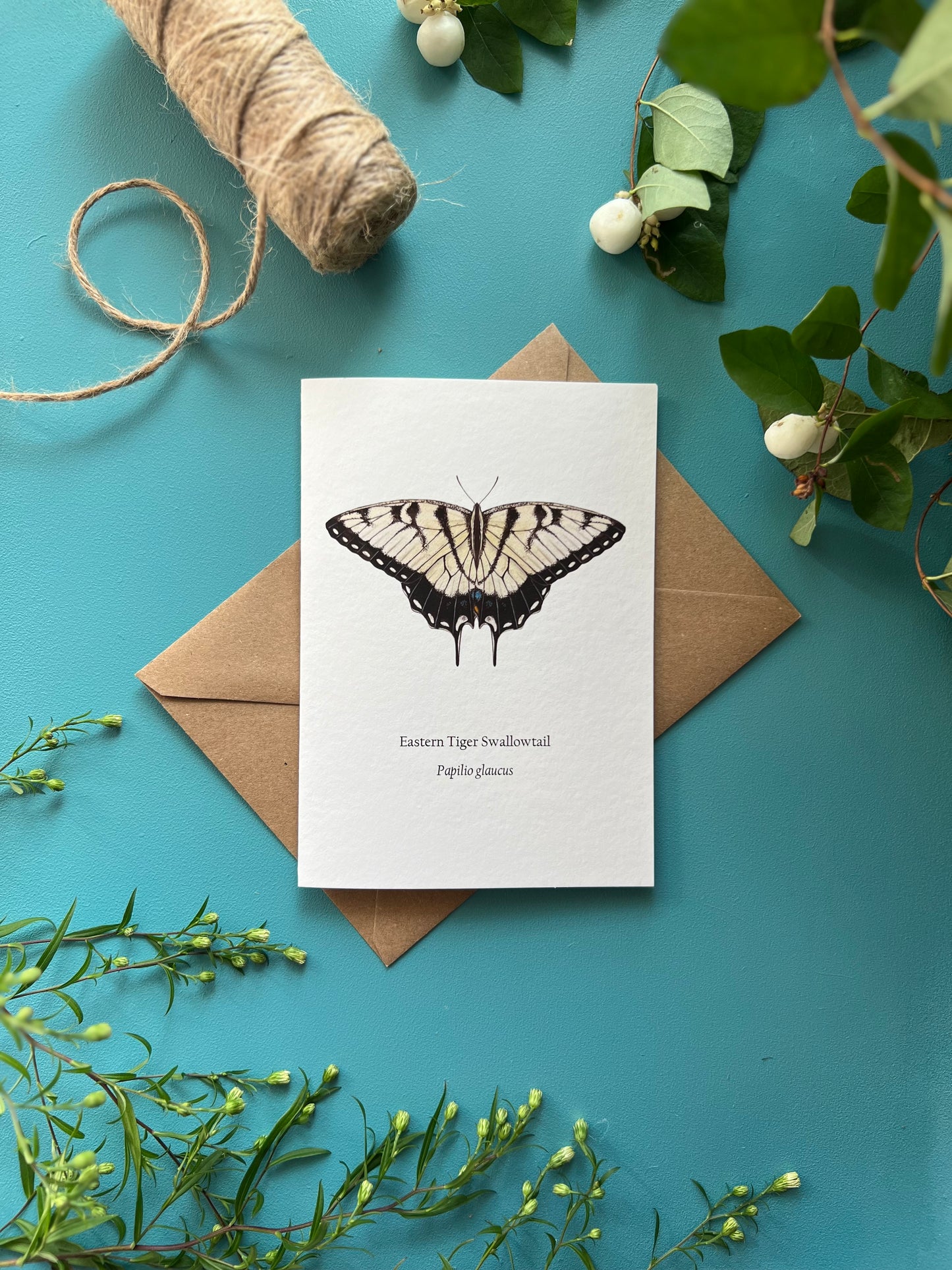 Eastern Tiger Swallowtail Card