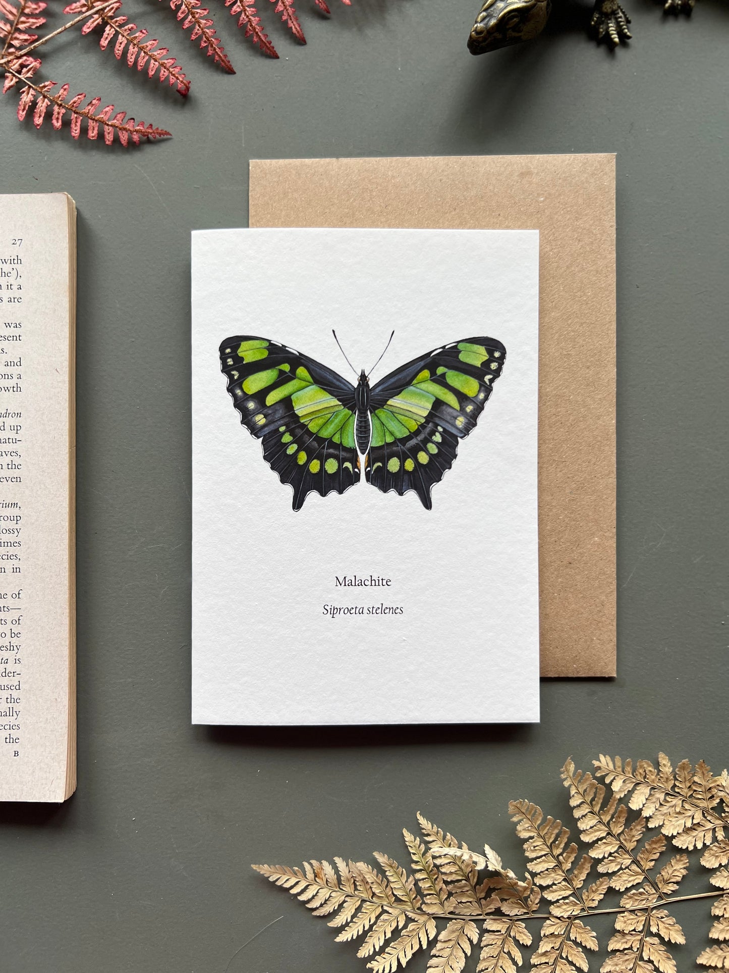 Malachite Butterfly Card