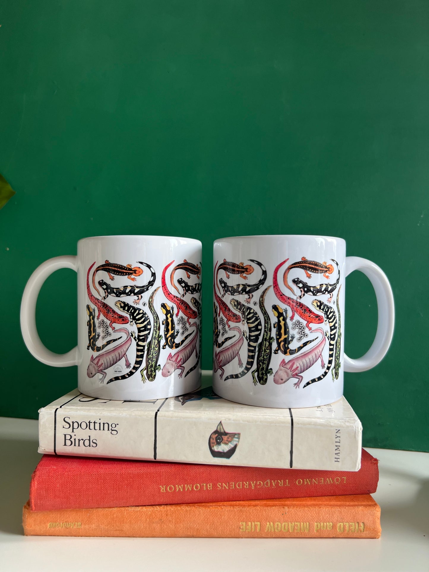 ON SALE ~ Salamander Ceramic Mug