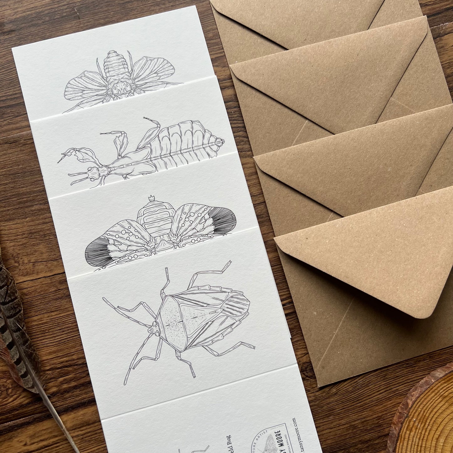 Insects Colouring in Card Set