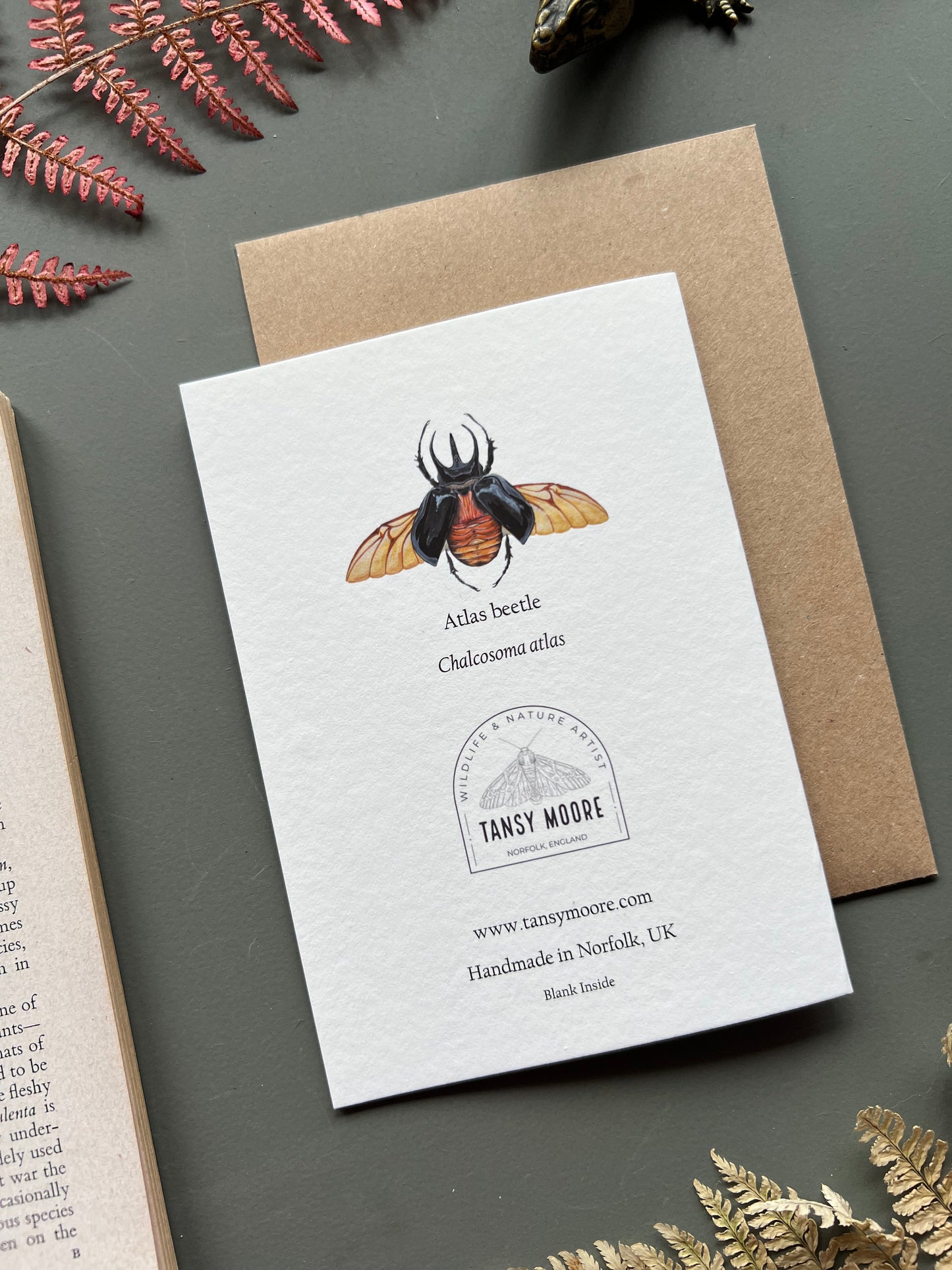 Atlas Beetle Card