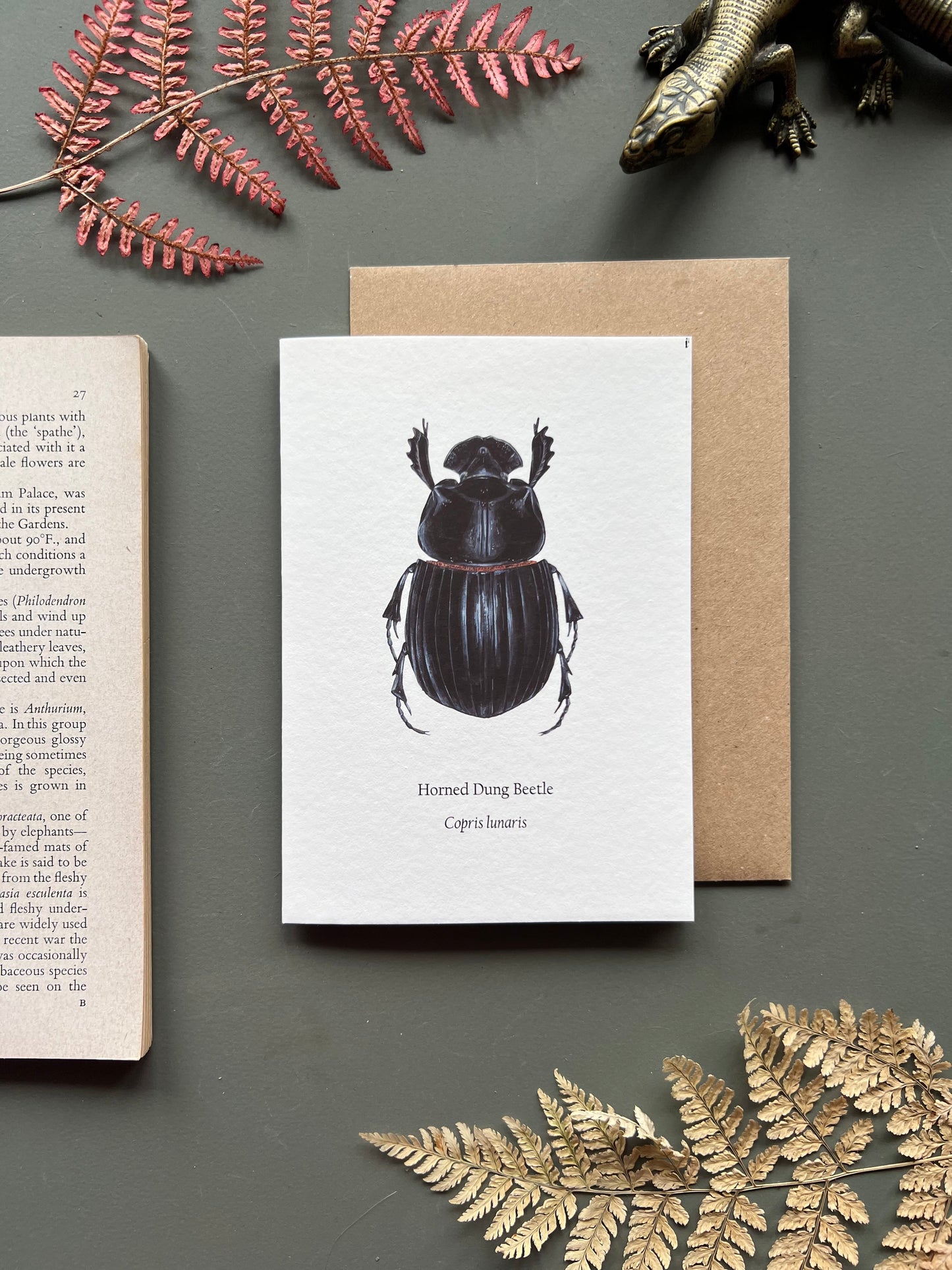 Horned Dung Beetle Card