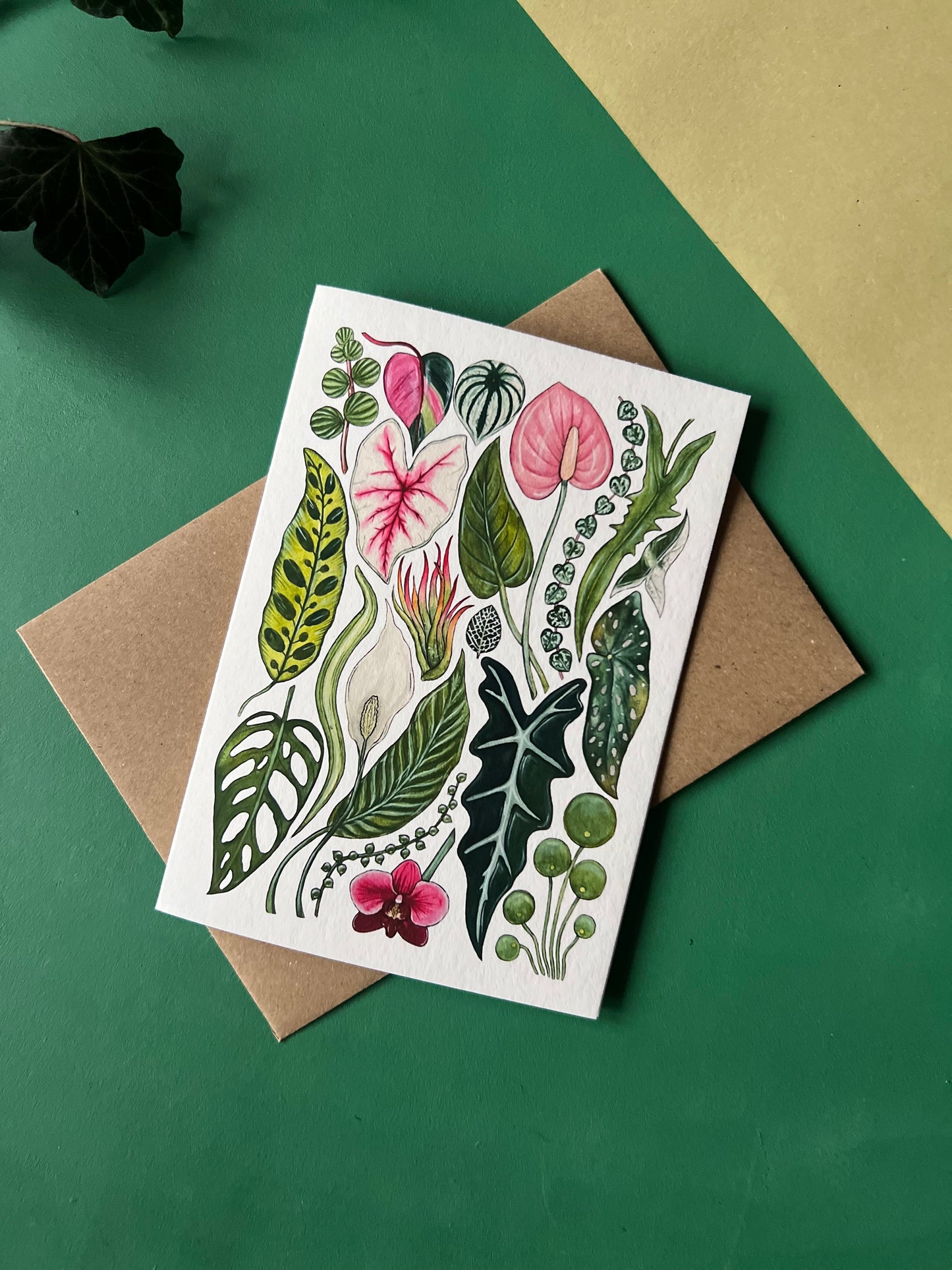 House Plants Card