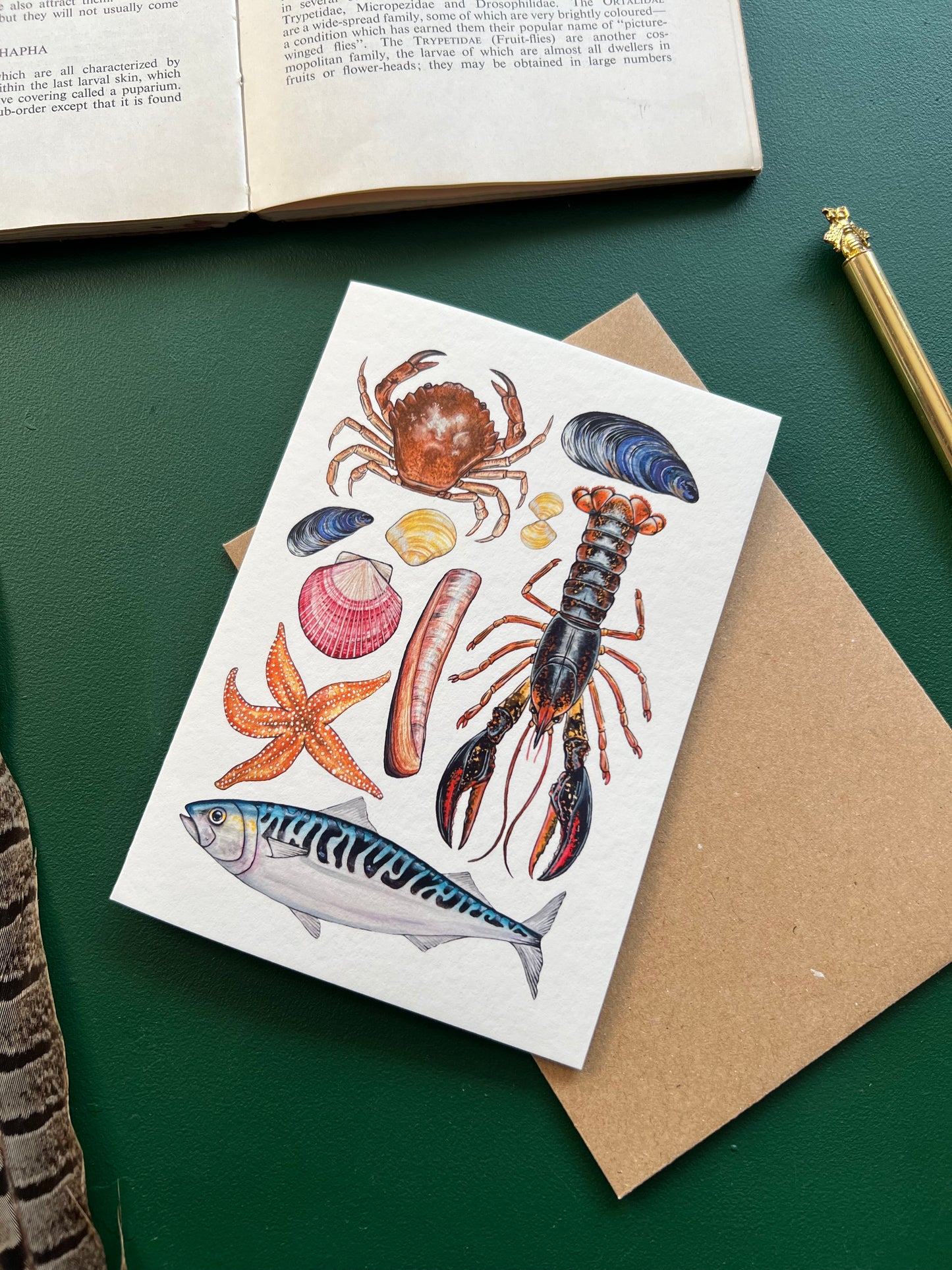 Marine Life Card