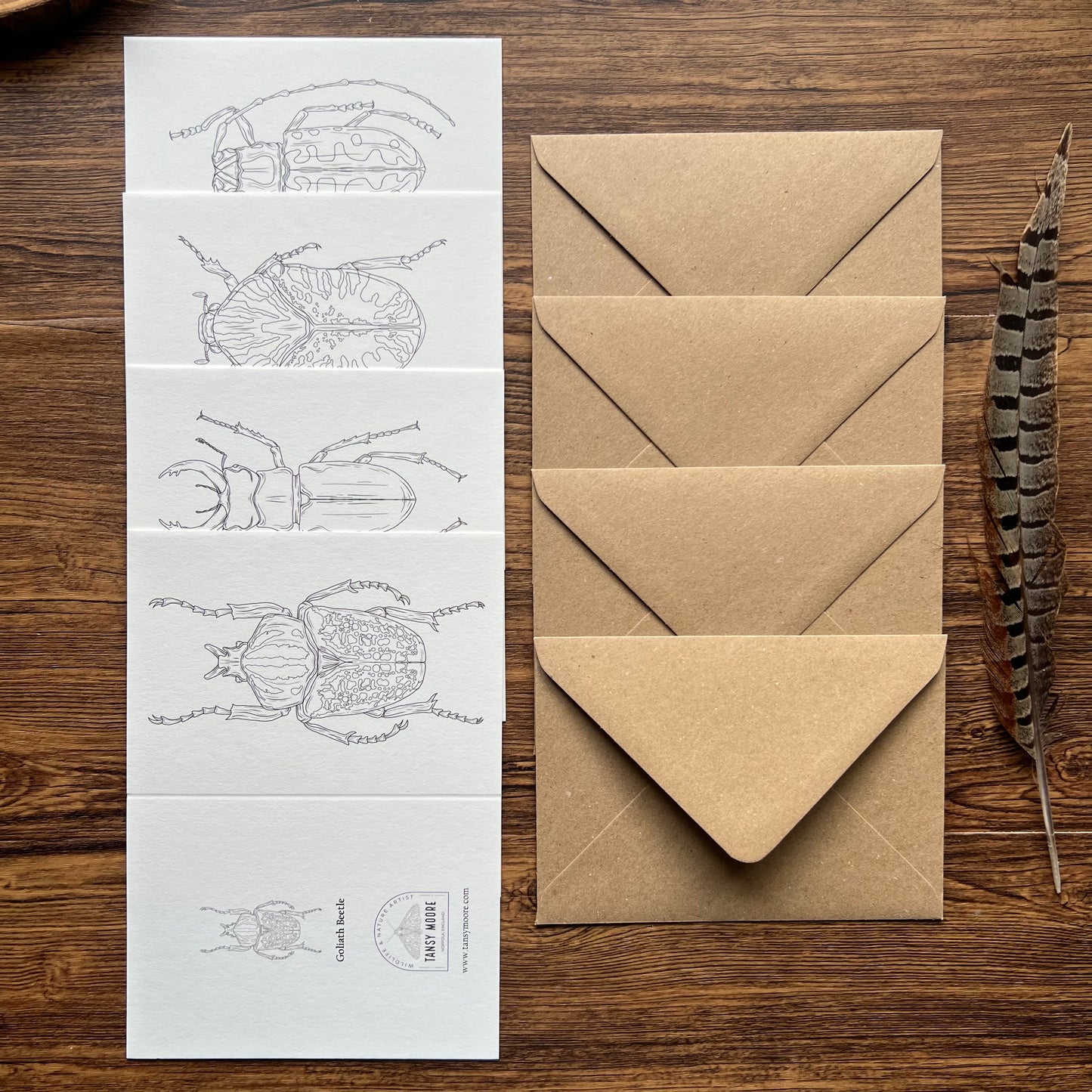 Beetle Colouring in Card Set