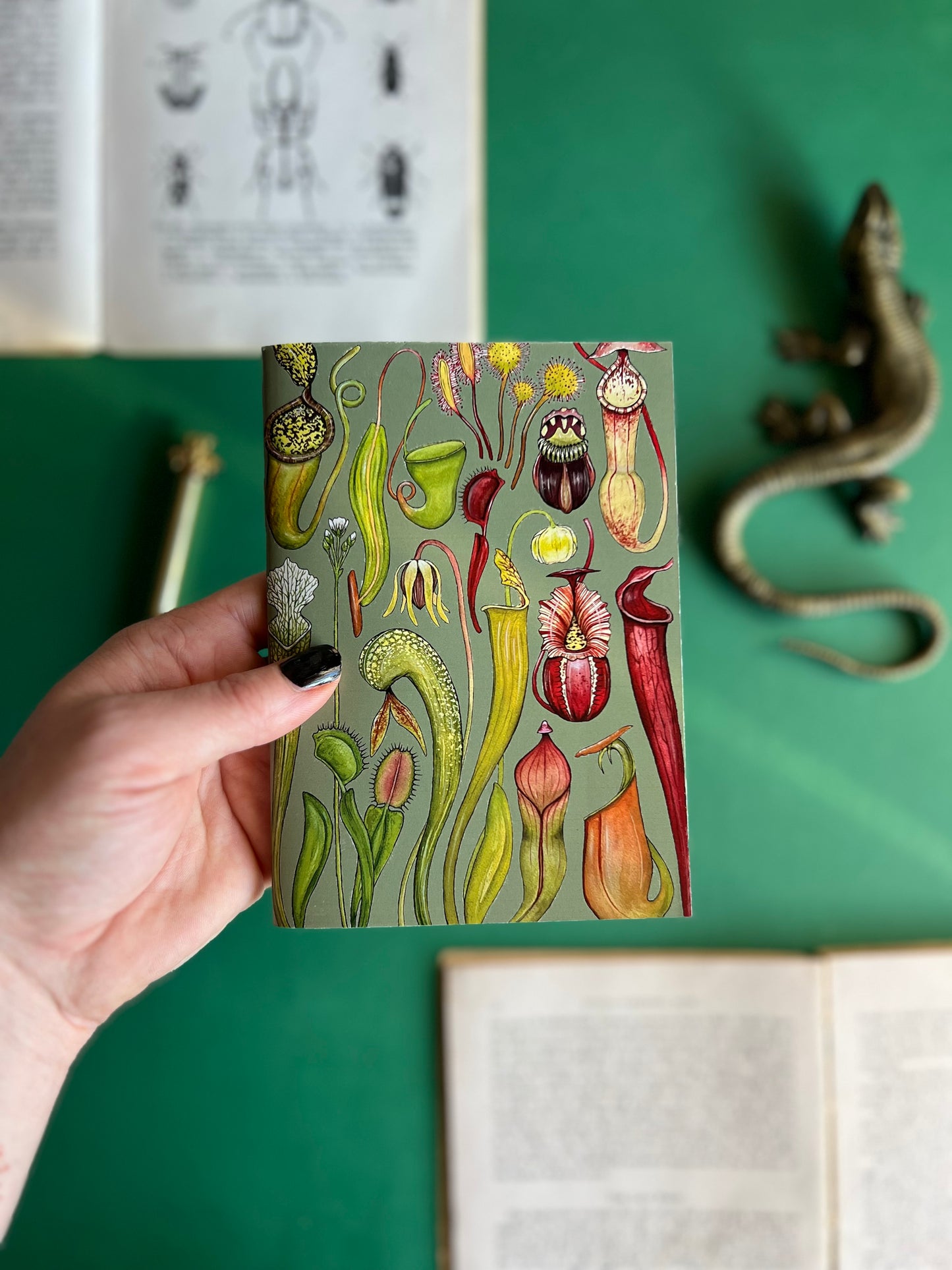 Carnivorous Plants Pocket Notebook