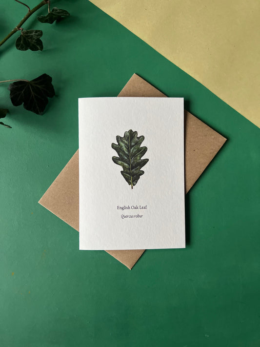 English Oak Card