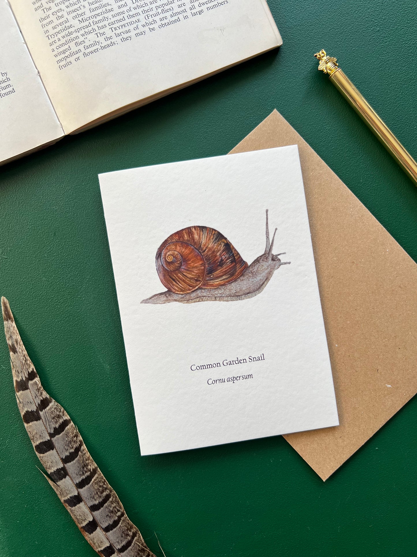 Garden Snail Card