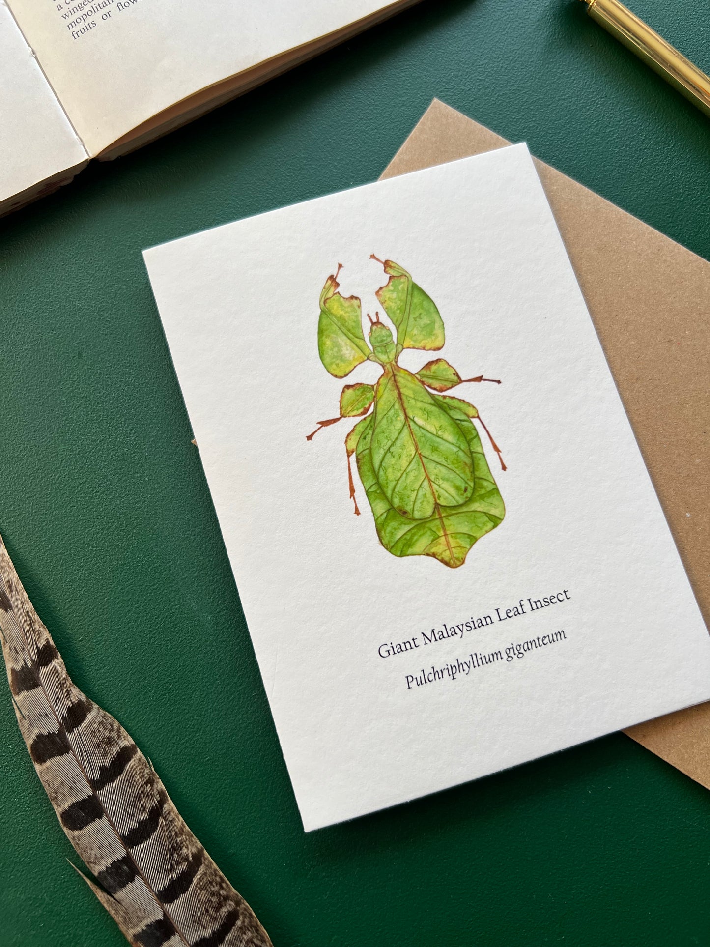 Leaf Insect Card