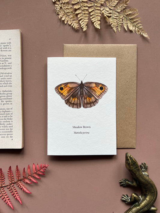 Meadow Brown Card