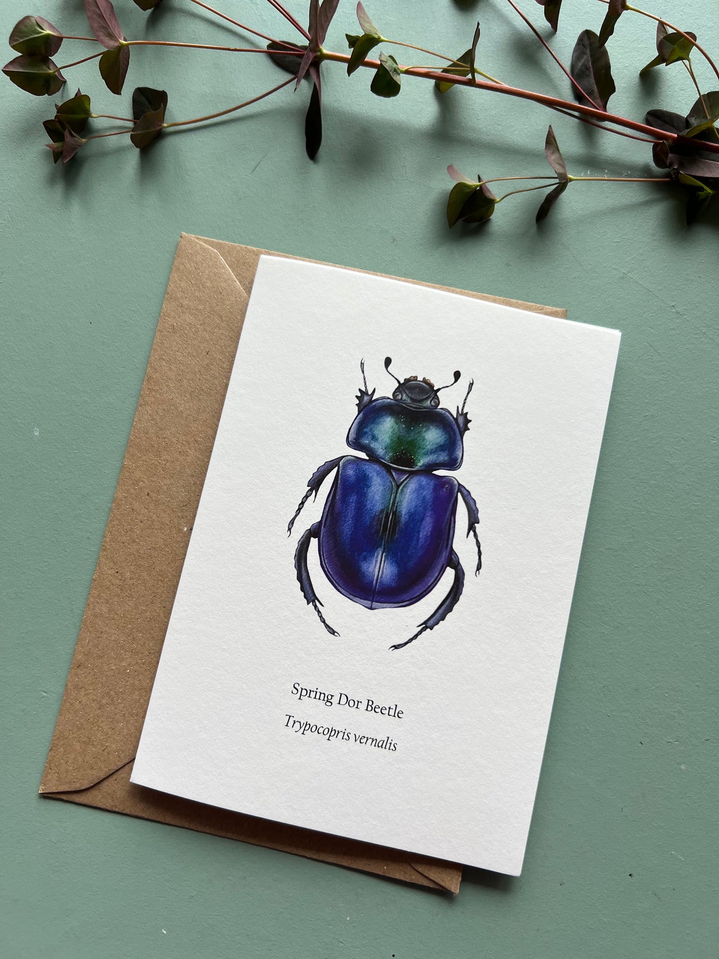 Spring Dor Beetle Card