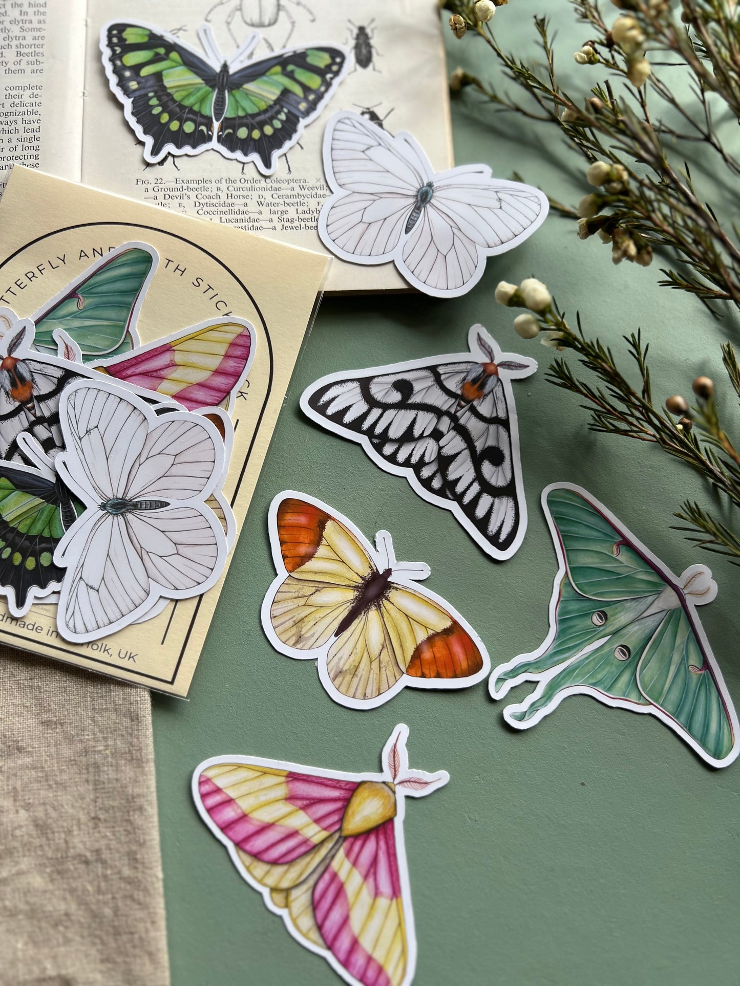 Butterfly and Moth Sticker Set