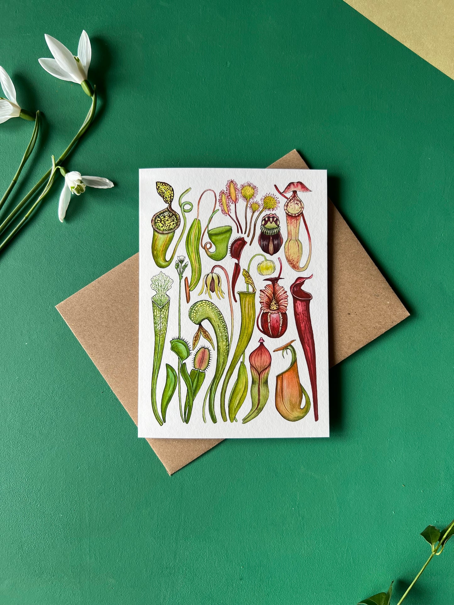 Carnivorous Plants Card