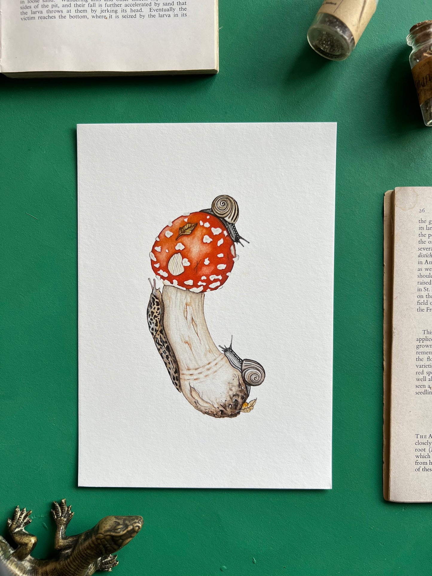 Amanita muscaria, Leopard Slug and White-lipped Grove Snails Print