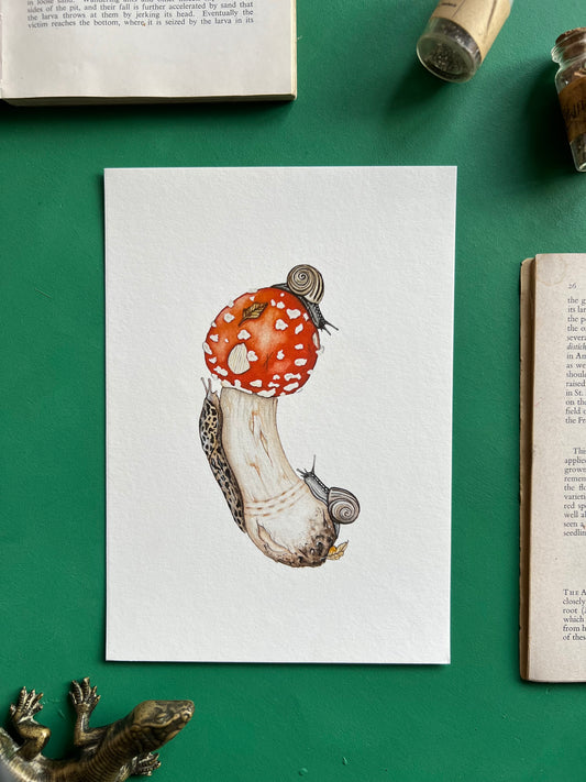 Amanita muscaria, Leopard Slug and White-lipped Grove Snails Print