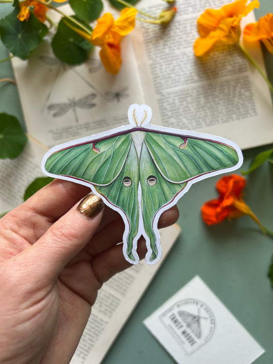 Luna Moth Sticker