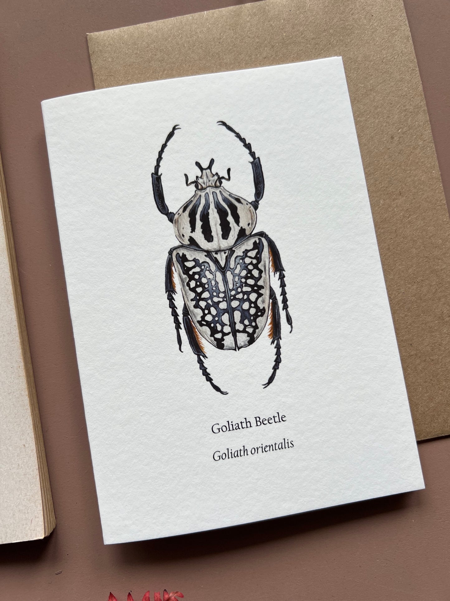 Goliath Beetle Card