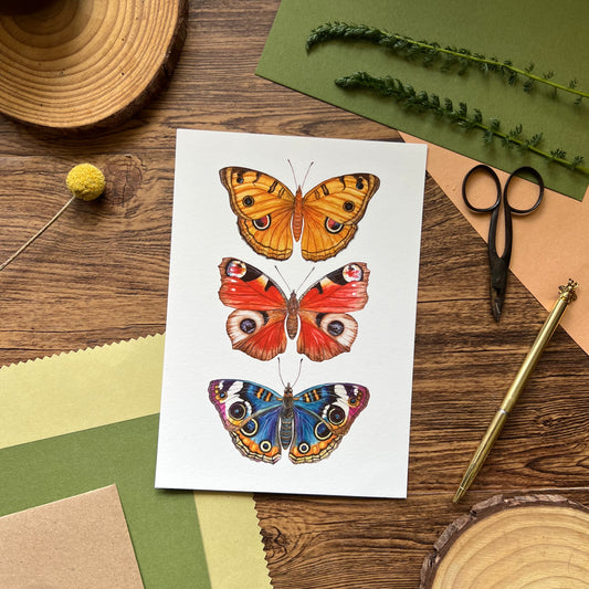 Butterflies with Eyes