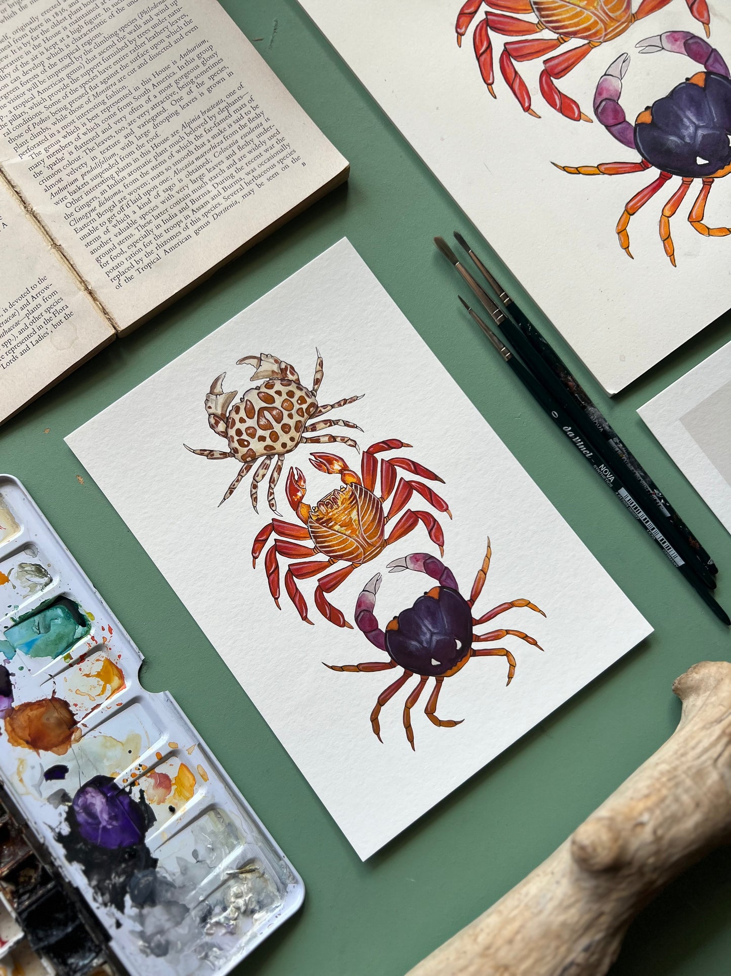 Crabs Print, Marine life