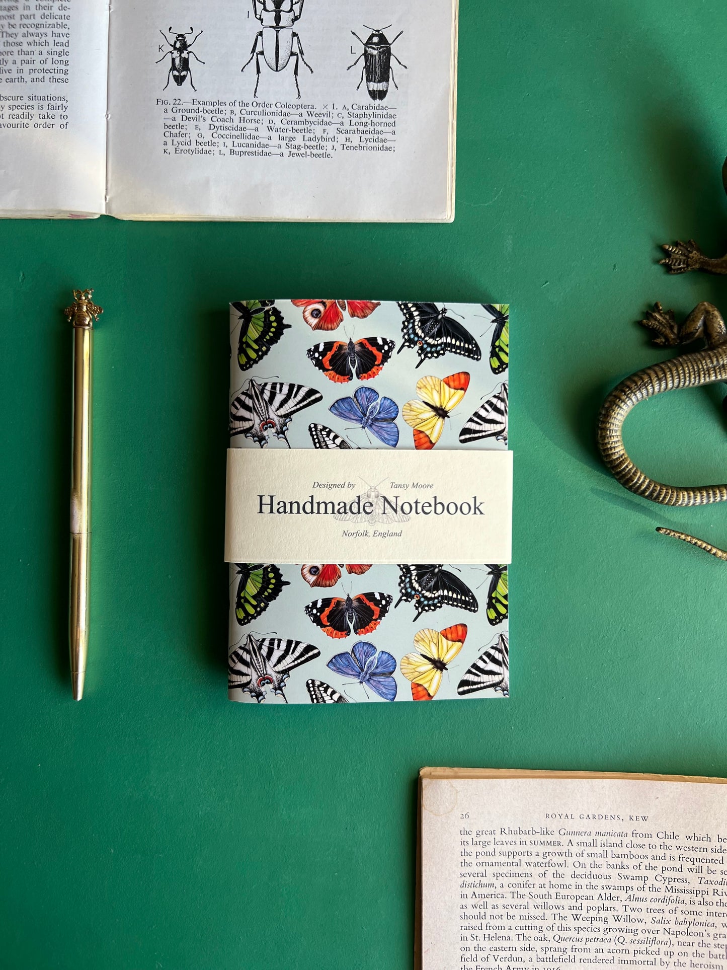 Insect Pocket Notebook Set