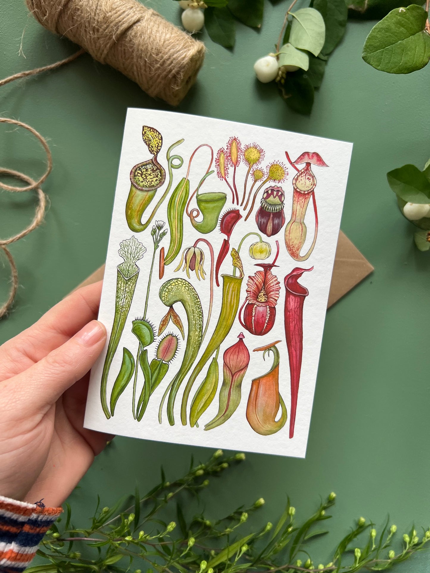 Carnivorous Plants Card