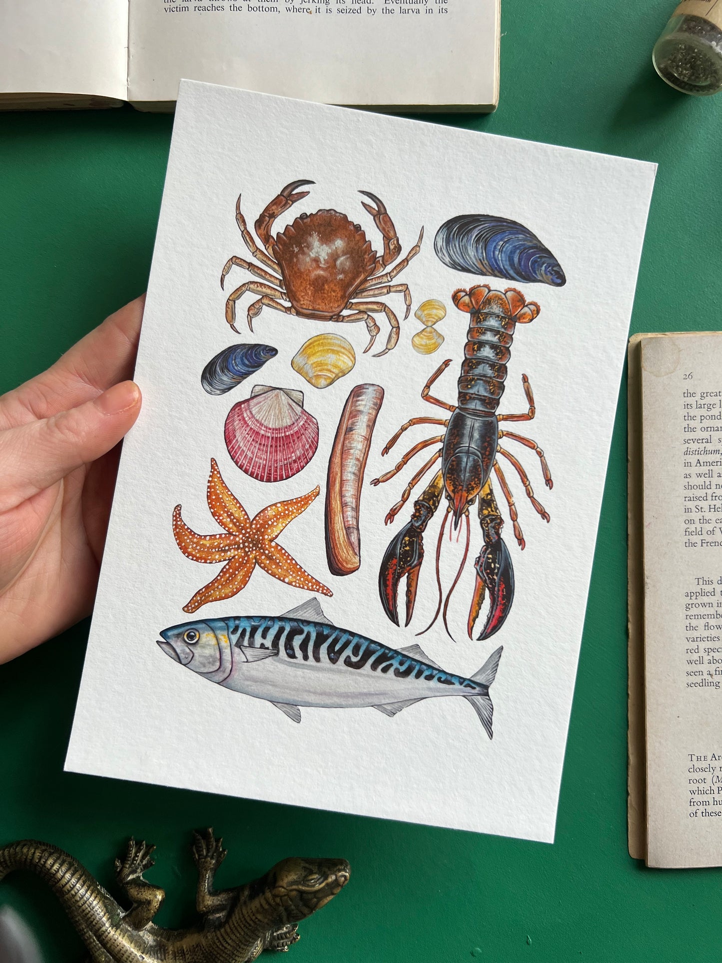 Marine Life