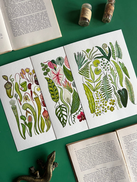 Plants Print Set