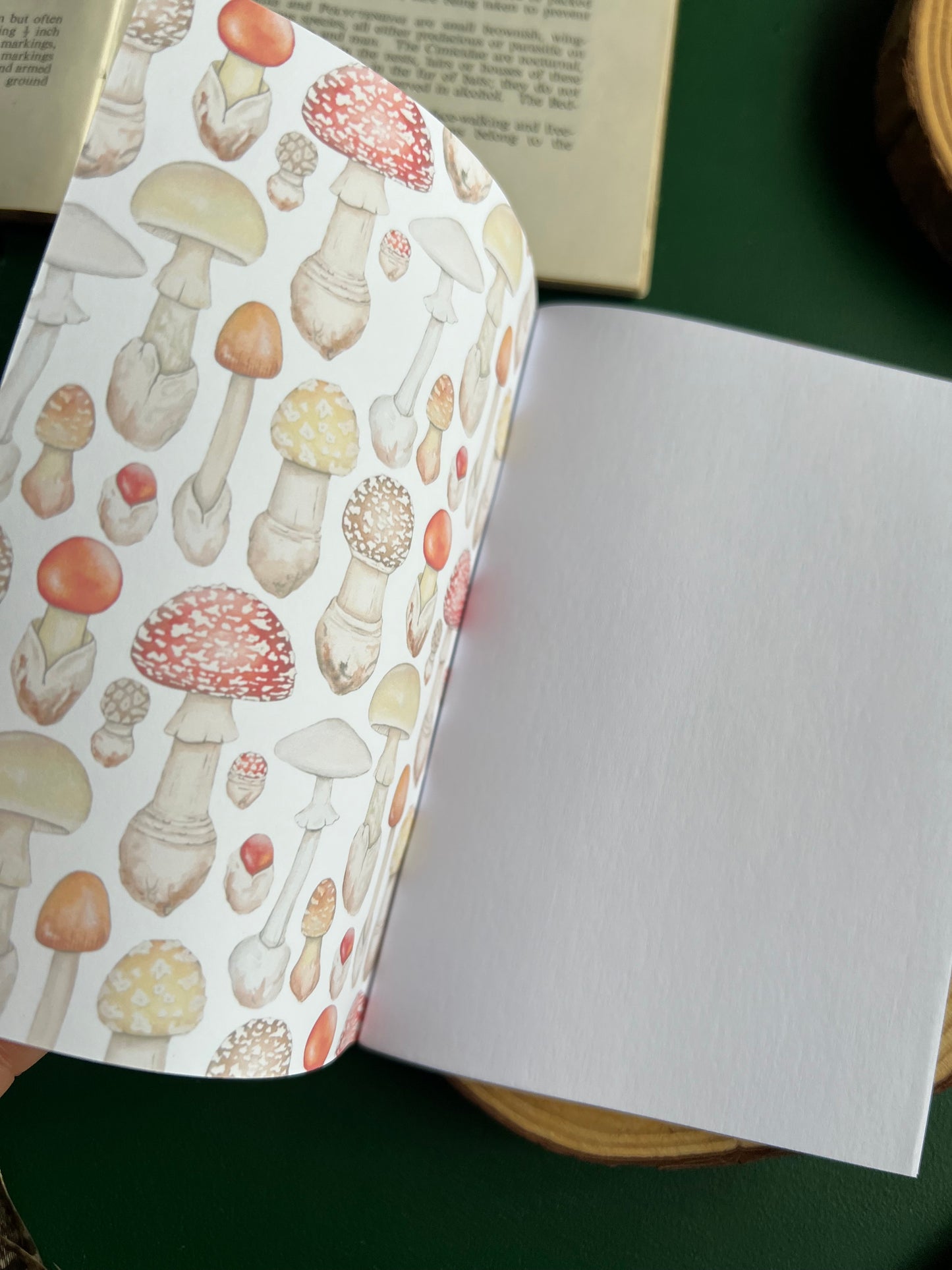 Mushroom Pocket Notebook