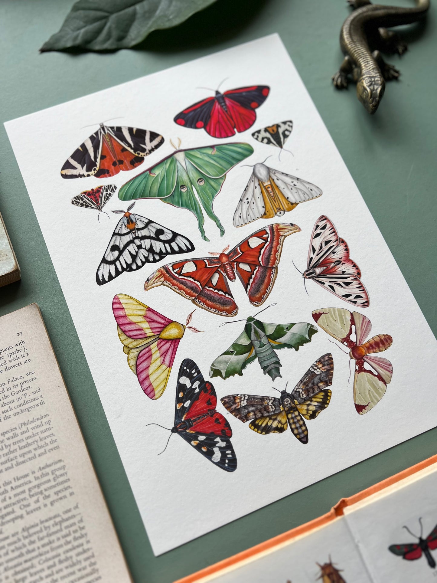 Moths Print