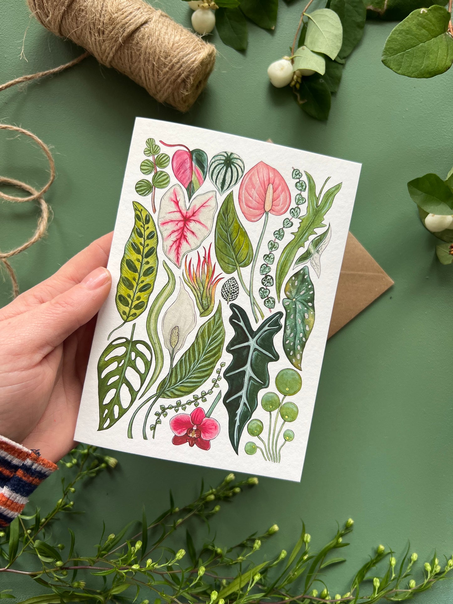 House Plants Card