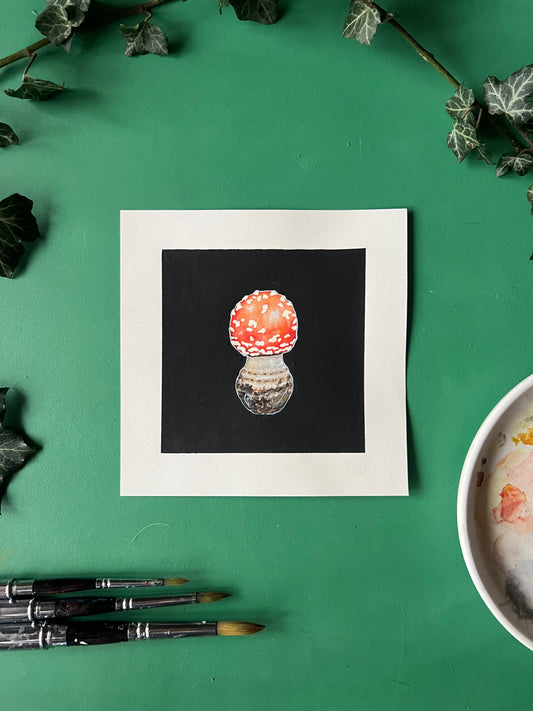 Fly Agaric / Amanita Muscaria