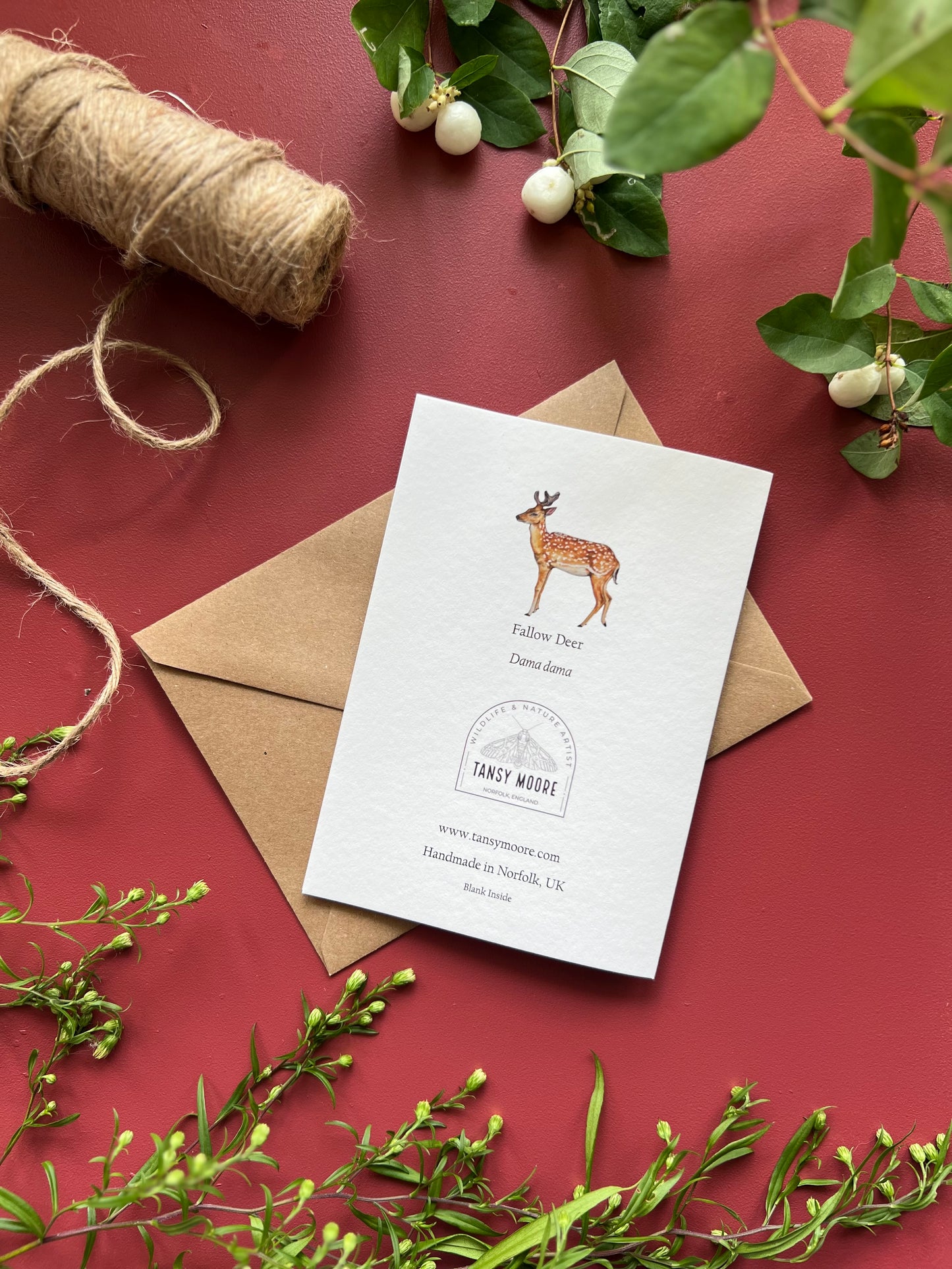 Fallow Deer Card