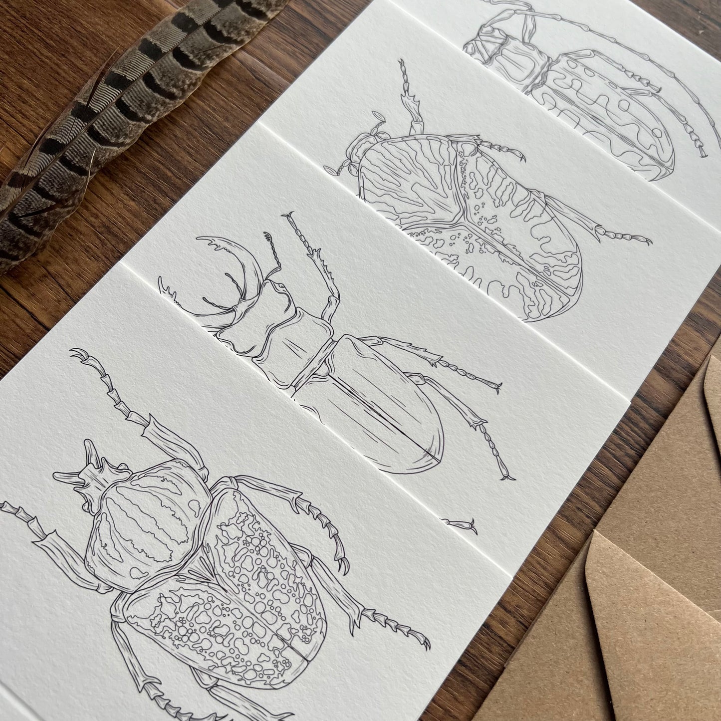 Beetle Colouring in Card Set