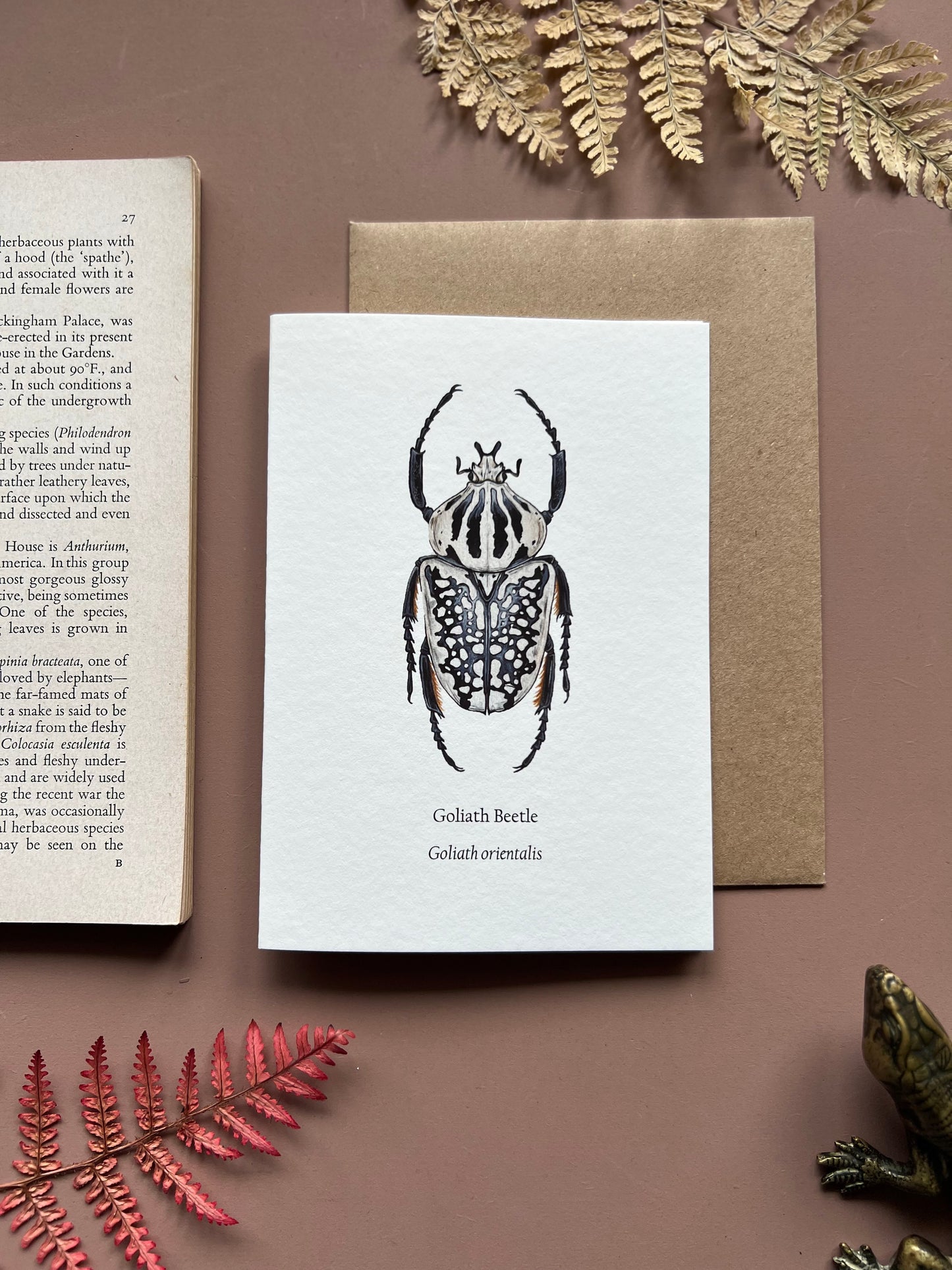 Goliath Beetle Card